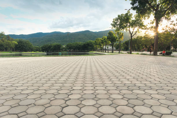 Best Driveway Paving Contractor  in Elroy, NC